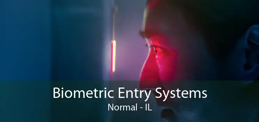 Biometric Entry Systems Normal - IL