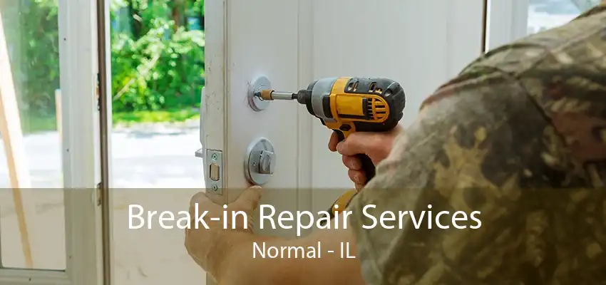 Break-in Repair Services Normal - IL