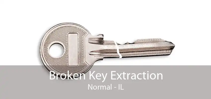 Broken Key Extraction Normal - IL