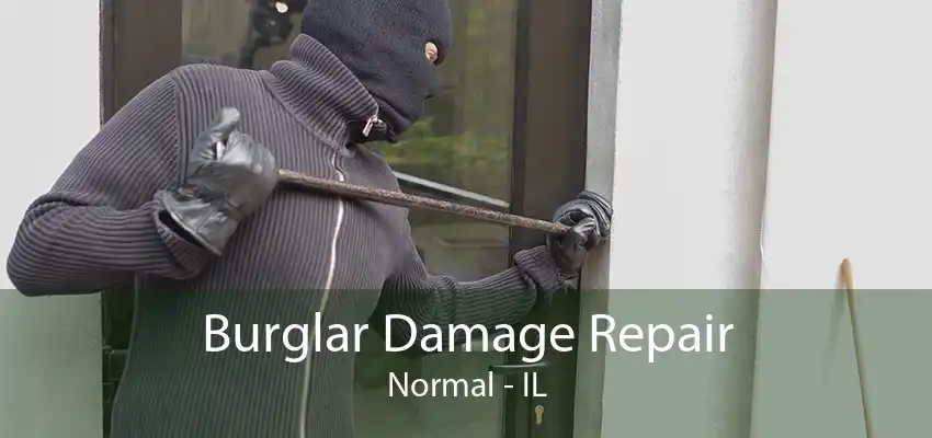 Burglar Damage Repair Normal - IL