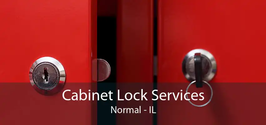 Cabinet Lock Services Normal - IL