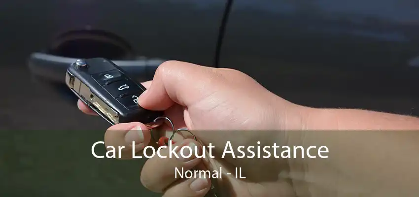 Car Lockout Assistance Normal - IL