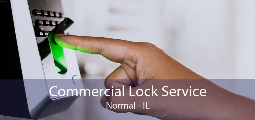 Commercial Lock Service Normal - IL