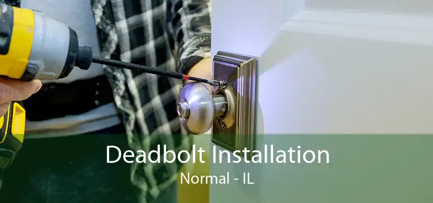 Deadbolt Installation Normal - IL