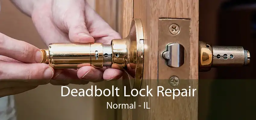 Deadbolt Lock Repair Normal - IL