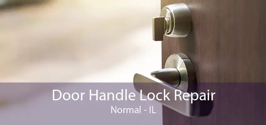 Door Handle Lock Repair Normal - IL