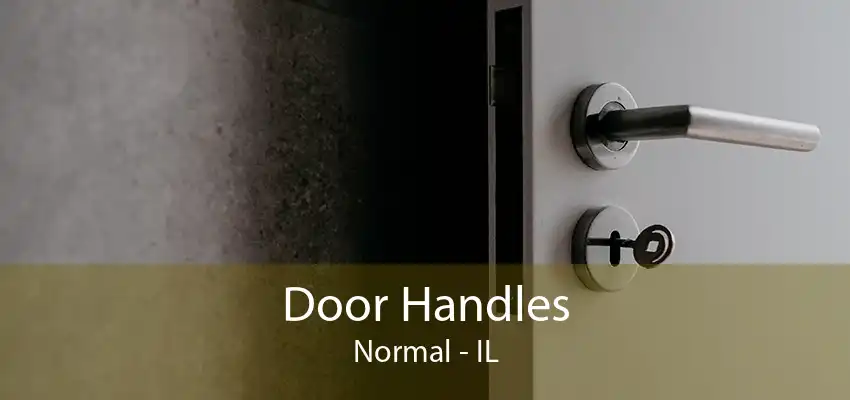 Door Handles Normal - IL