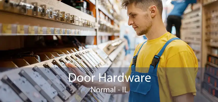 Door Hardware Normal - IL