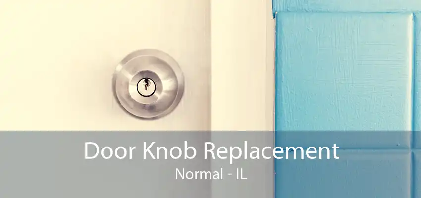 Door Knob Replacement Normal - IL