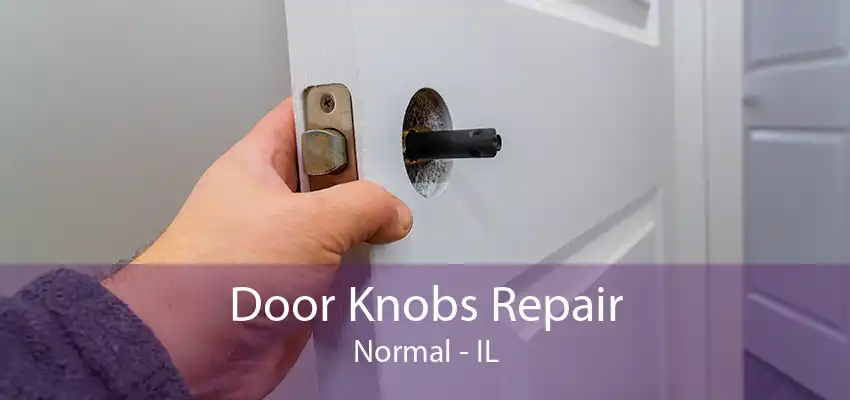 Door Knobs Repair Normal - IL