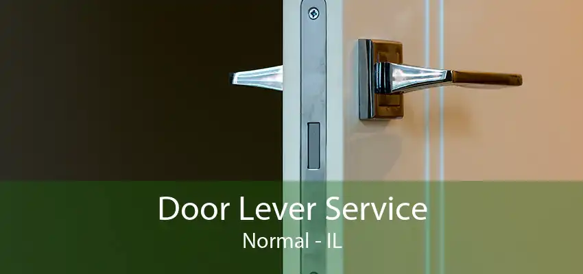 Door Lever Service Normal - IL