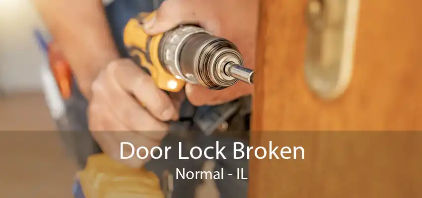 Door Lock Broken Normal - IL