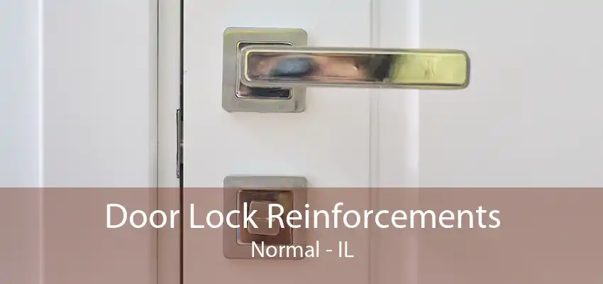 Door Lock Reinforcements Normal - IL