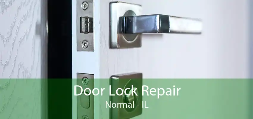 Door Lock Repair Normal - IL