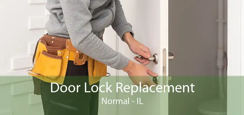 Door Lock Replacement Normal - IL