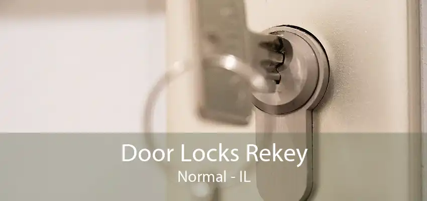 Door Locks Rekey Normal - IL