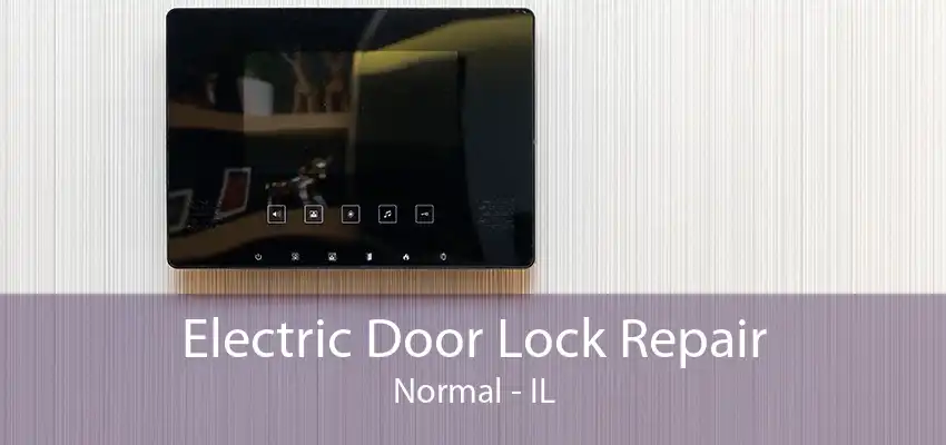 Electric Door Lock Repair Normal - IL