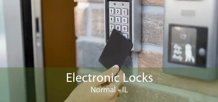 Electronic Locks Normal - IL