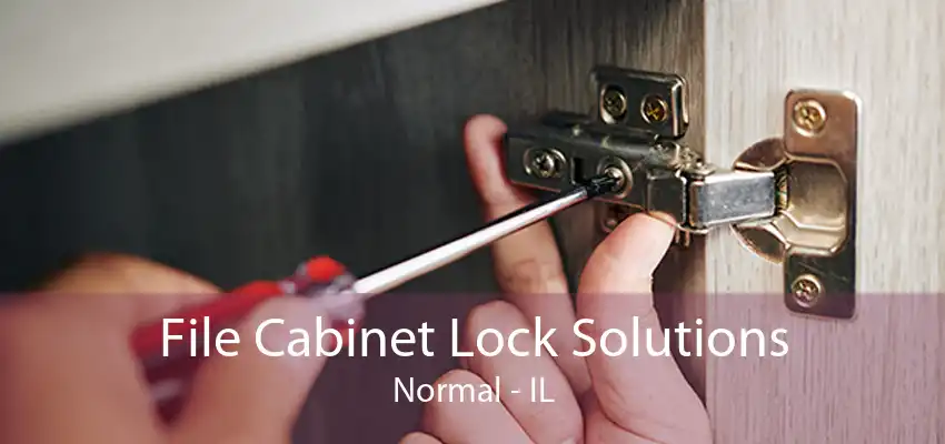 File Cabinet Lock Solutions Normal - IL