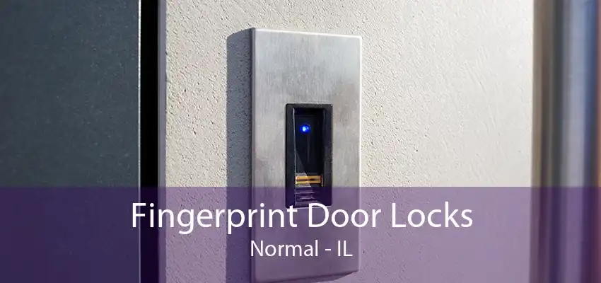 Fingerprint Door Locks Normal - IL