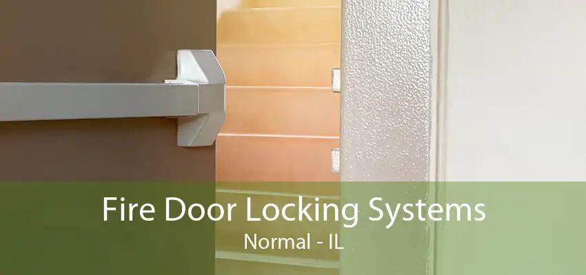 Fire Door Locking Systems Normal - IL