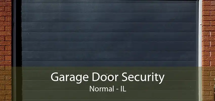 Garage Door Security Normal - IL