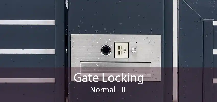 Gate Locking Normal - IL