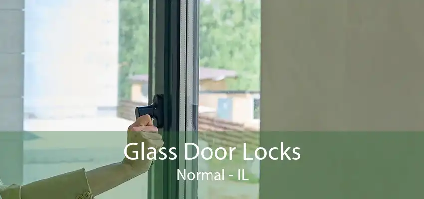 Glass Door Locks Normal - IL