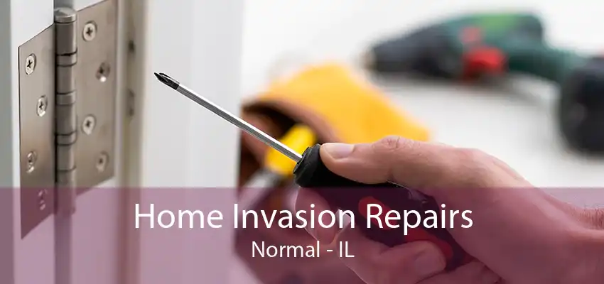 Home Invasion Repairs Normal - IL