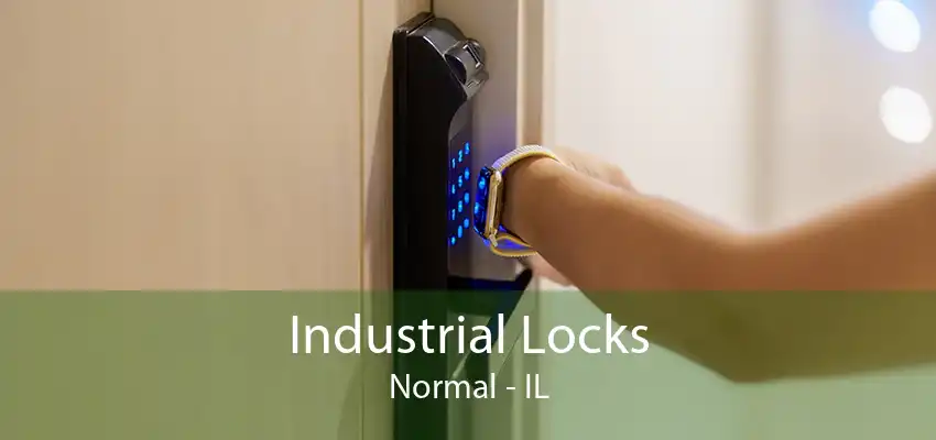 Industrial Locks Normal - IL