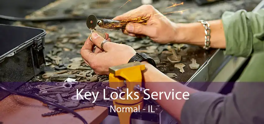 Key Locks Service Normal - IL