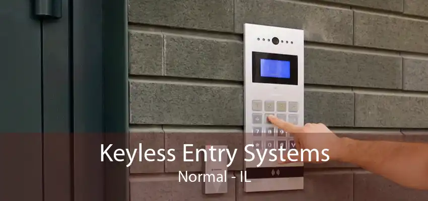 Keyless Entry Systems Normal - IL