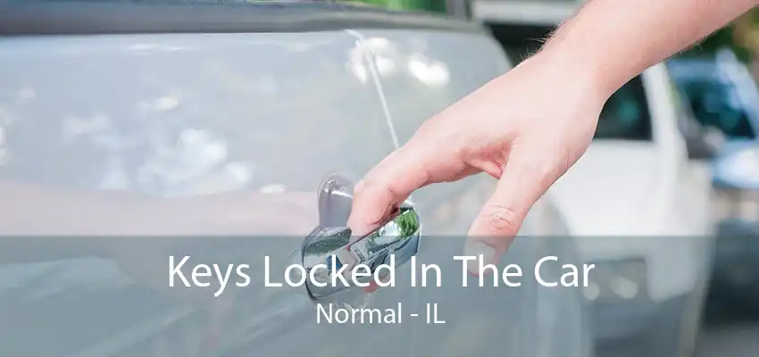 Keys Locked In The Car Normal - IL