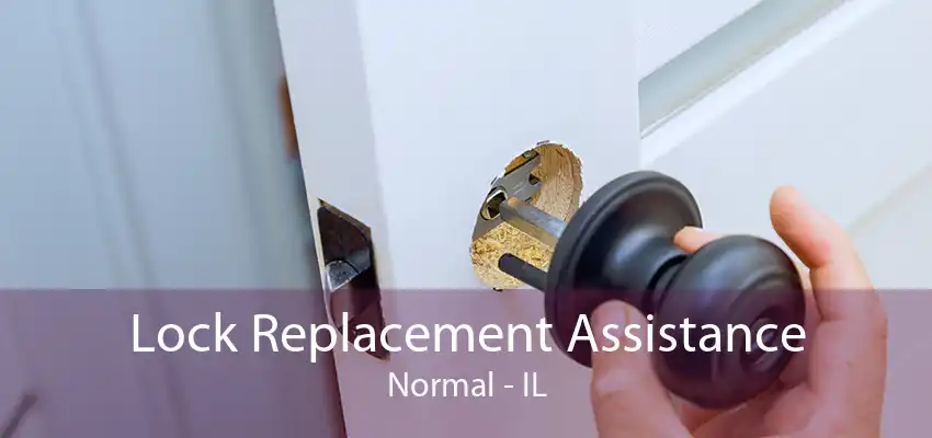 Lock Replacement Assistance Normal - IL