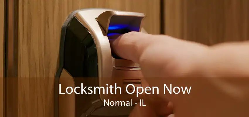 Locksmith Open Now Normal - IL