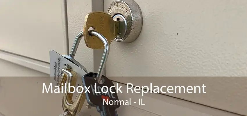 Mailbox Lock Replacement Normal - IL