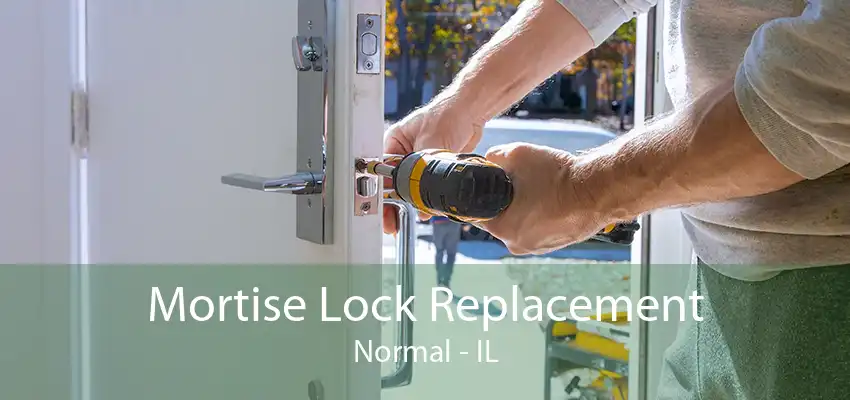 Mortise Lock Replacement Normal - IL