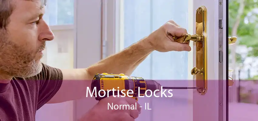 Mortise Locks Normal - IL