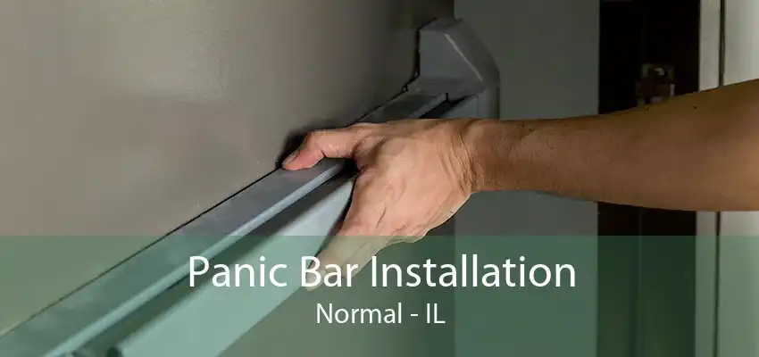 Panic Bar Installation Normal - IL