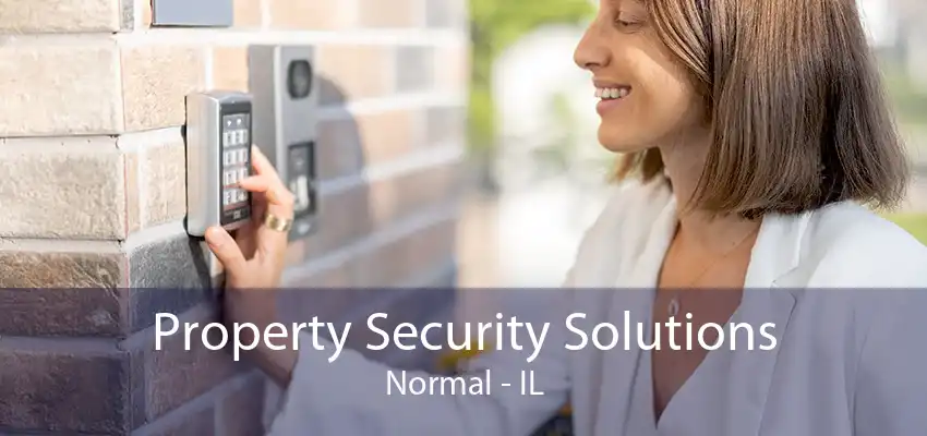 Property Security Solutions Normal - IL