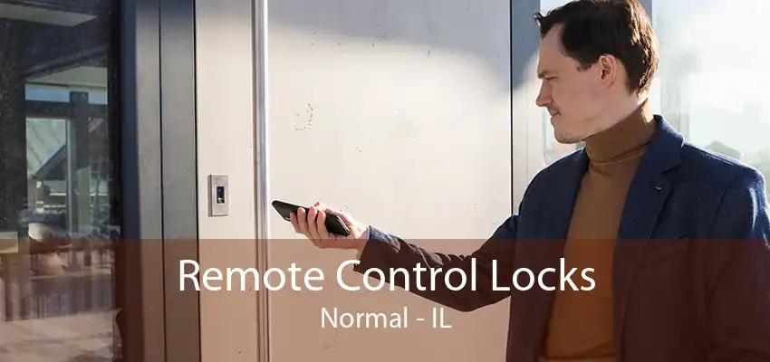 Remote Control Locks Normal - IL