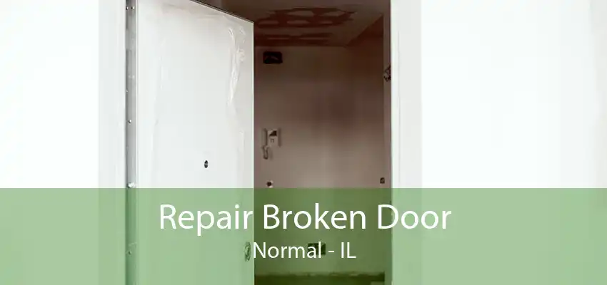 Repair Broken Door Normal - IL