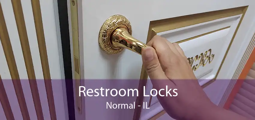 Restroom Locks Normal - IL