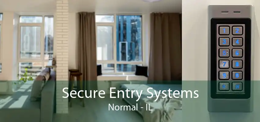 Secure Entry Systems Normal - IL