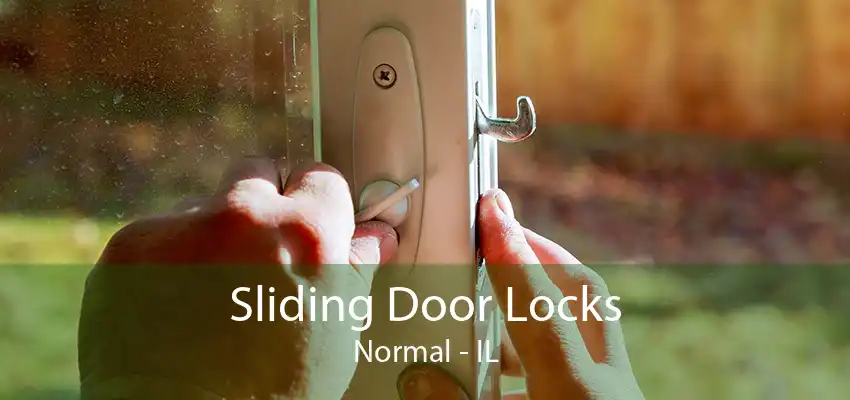 Sliding Door Locks Normal - IL