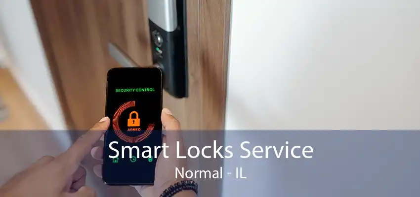 Smart Locks Service Normal - IL