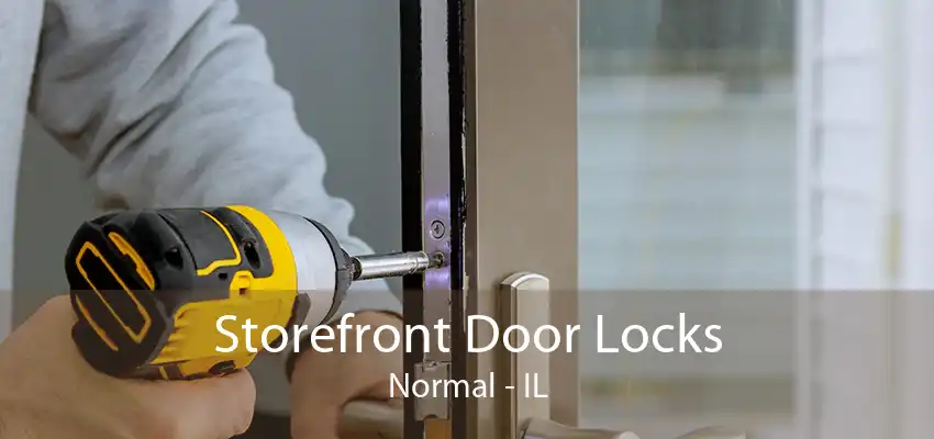 Storefront Door Locks Normal - IL